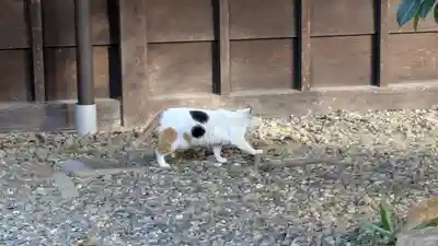 行願寺（革堂）(京都府)