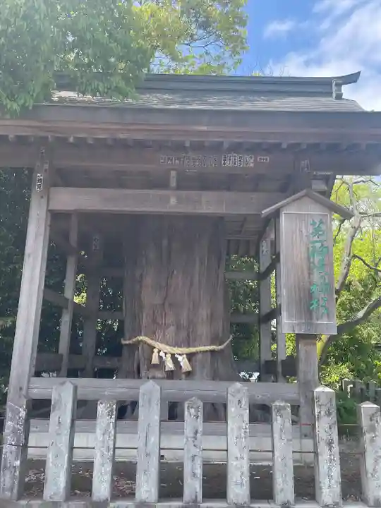 阿蘇神社(熊本県)
