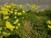 聞蔵寺(大阪府)