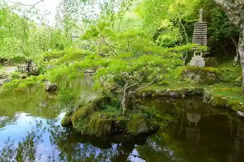 竹林院の庭園