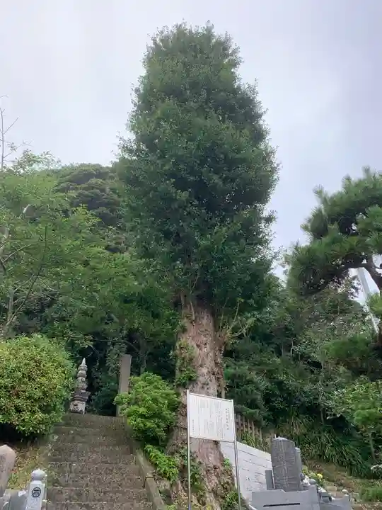 覚翁寺のその他建物