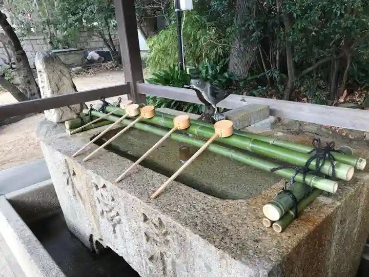 弓弦羽神社(兵庫県)