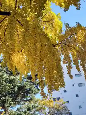 花園神社(東京都)