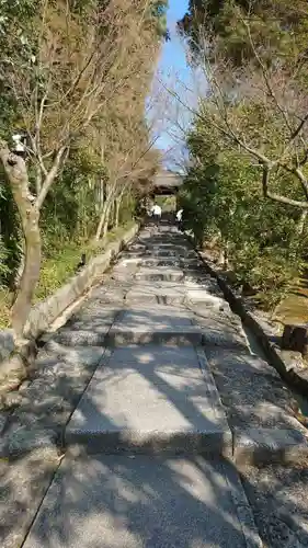 高台寺（高台寿聖禅寺・高臺寺）(京都府)