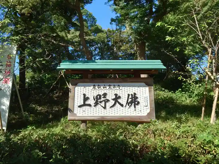 上野大佛(東京都)