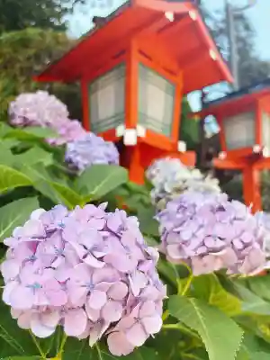 穴八幡宮(東京都)