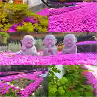 寿量山 速成寺(奈良県)