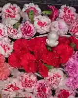 三輪神社の手水舎