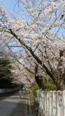 向日神社(京都府)