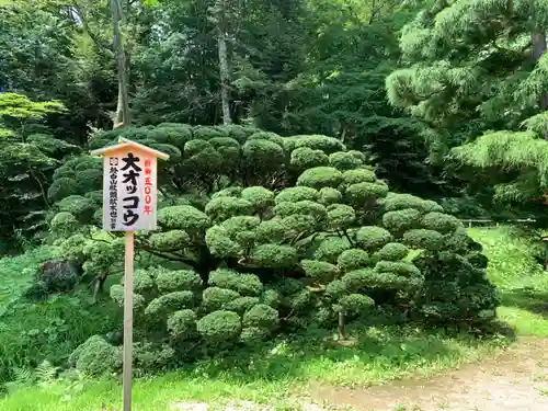 達谷西光寺の庭園