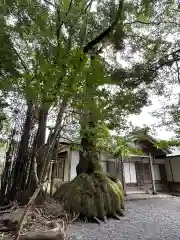 伊雜宮（皇大神宮別宮）(三重県)