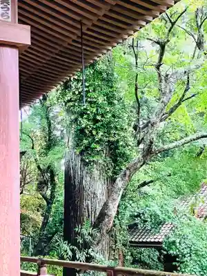 観福寺(千葉県)