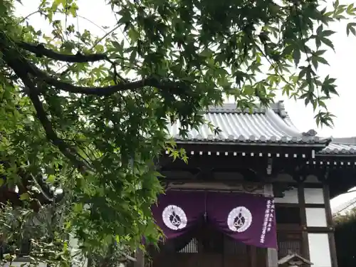 覚證寺の山門