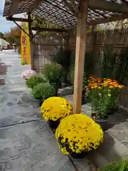 笠間稲荷神社(茨城県)