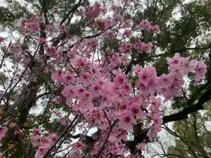 美奈宜神社(福岡県)(2023年03月24日(金) 11時36分54秒投稿)