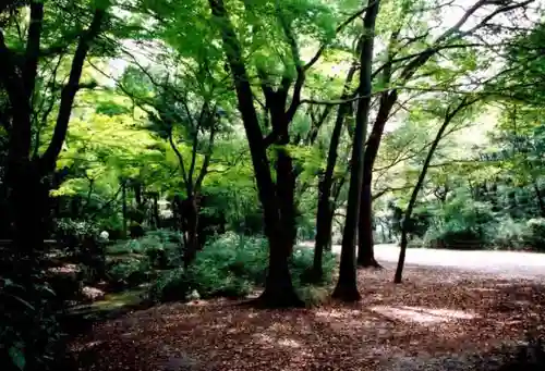 賀茂御祖神社（下鴨神社）の自然