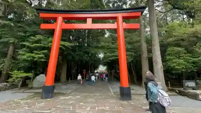霧島神宮(鹿児島県)