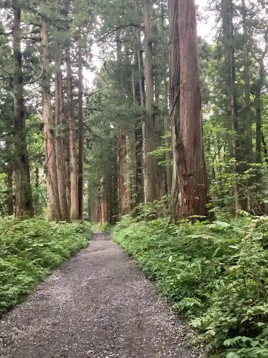 戸隠神社奥社(長野県)