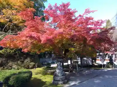 足羽神社(福井県)