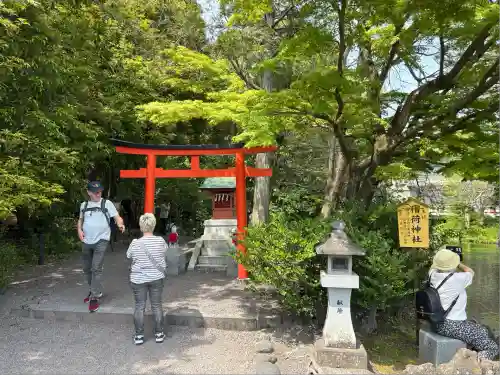 富士山本宮浅間大社(静岡県)