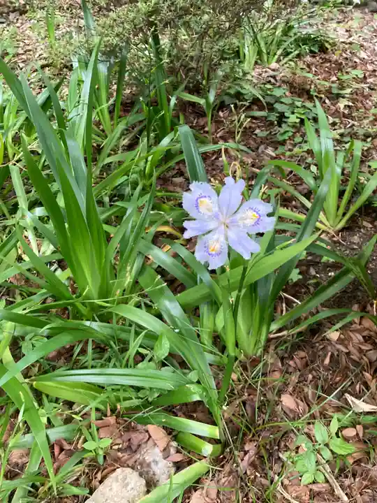 青山熊野神社(東京都)