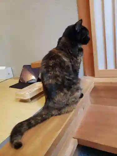 五十稲荷神社(栄寿稲荷神社)(東京都)