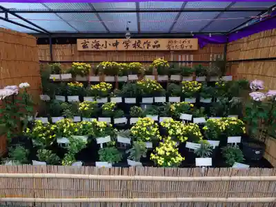 宗像大社(福岡県)