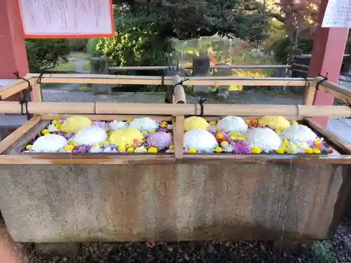 津島神社の手水舎