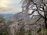 長谷寺(長野県)