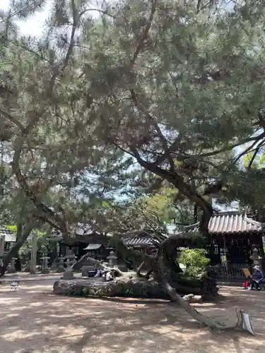 高砂神社の庭園