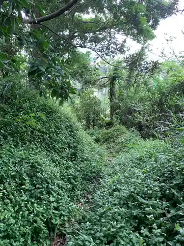 稲荷神社の自然