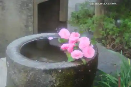 子安神社(東京都)