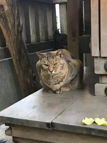 小野照崎神社の動物