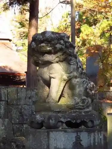 大井俣窪八幡神社の狛犬