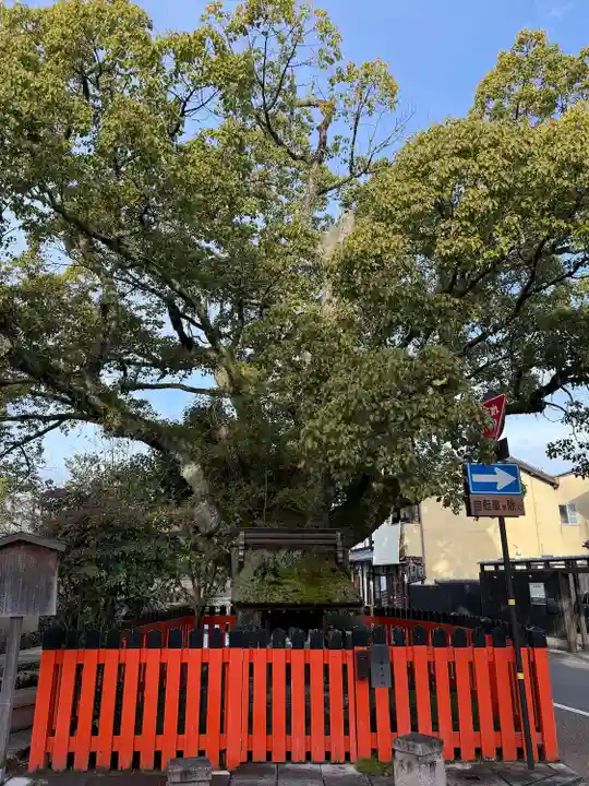 賀茂別雷神社(上賀茂神社)(京都府)