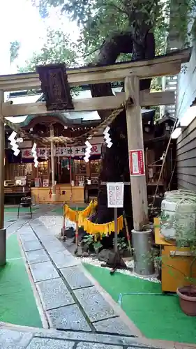 少彦名神社の鳥居