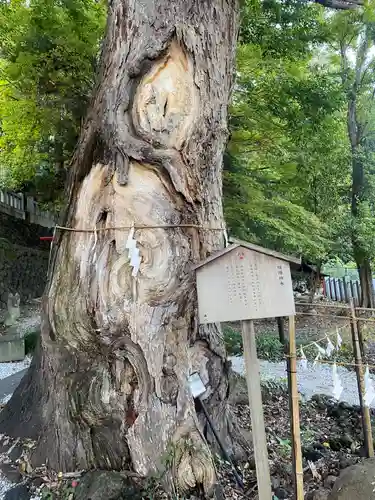 山名八幡宮(群馬県)