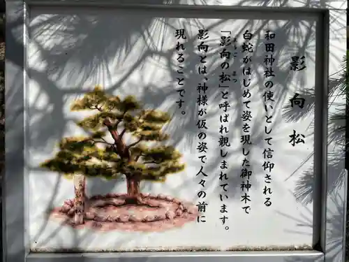 和田神社(兵庫県)