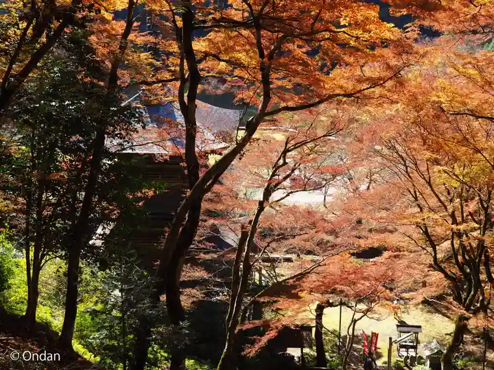 金剛院(京都府)