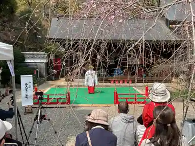 富部神社(愛知県)