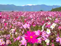 矢彦神社(長野県)
