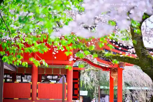 富士山本宮浅間大社(静岡県)