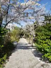 鳩森八幡神社の建物その他