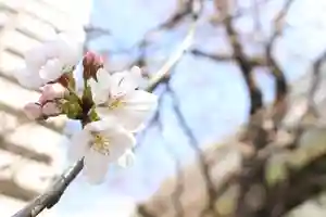 くまくま神社(導きの社 熊野町熊野神社)の自然(2022年03月20日(日) 19時00分13秒投稿)