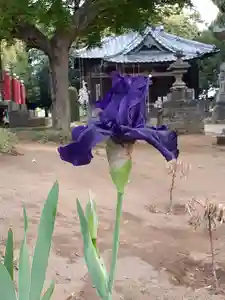 伏木香取神社の自然(2021年04月28日(水) 18時37分15秒投稿)