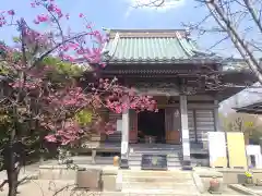 龍峰寺(神奈川県)