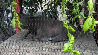 千喜万悦天満宮(京都府)