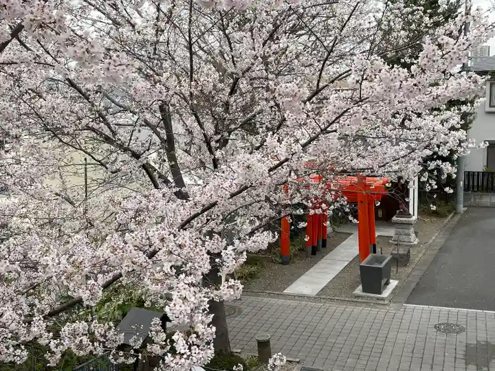 赤城神社(東京都)