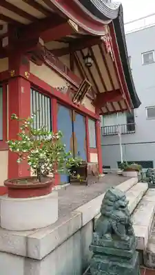 三島神社の本殿・本堂
