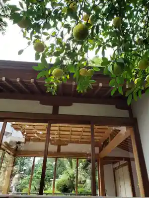 鳩森八幡神社のその他建物